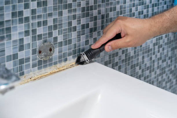Best Mold Testing and Inspection Services in Little Canada, MN