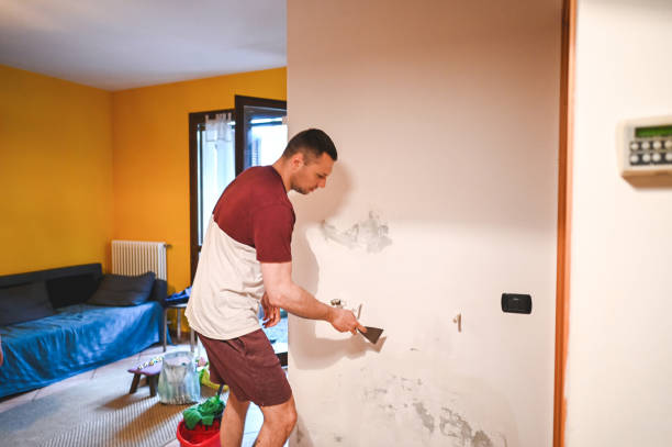 Best Industrial Mold Remediation in Little Canada, MN
